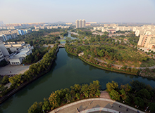 2024老澳门原料网